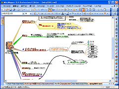 MindMapper Professional